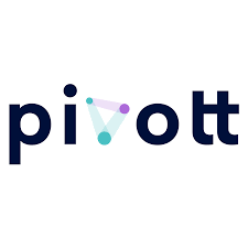 Pivott Digital Social Media Agency Belgium